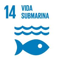 14 vida submarina